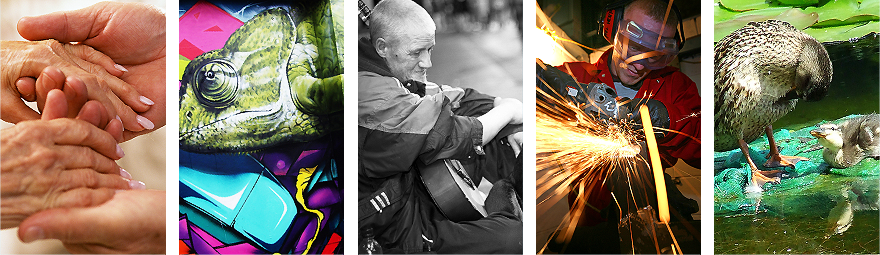 The Hemby Trust priority areas: the elderly, the arts, social needs, youth and employment, and the environment.